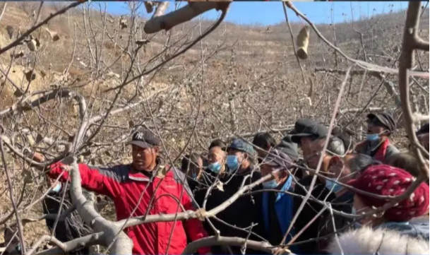 时博官方网站_时博（中国）一站式服务官网
在静宁帮扶村开展冬季果园管理培训(图5)